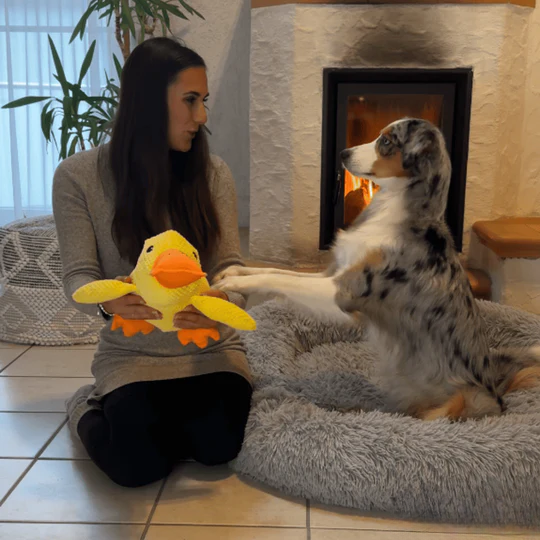 Anti-Stress Duck | Deep Relaxation For Your Dog