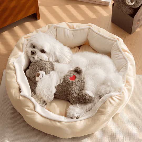 The Ultimate Comfort Cuddly Bear for Dogs