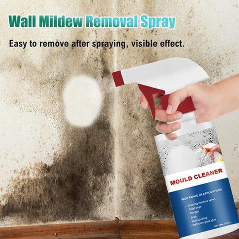 Foam Cleaner Against Mold
