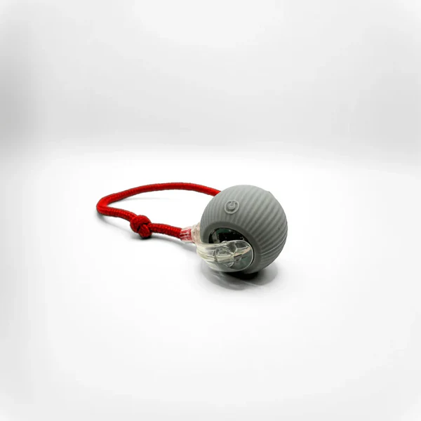 Smartball Interactive Cat Toy