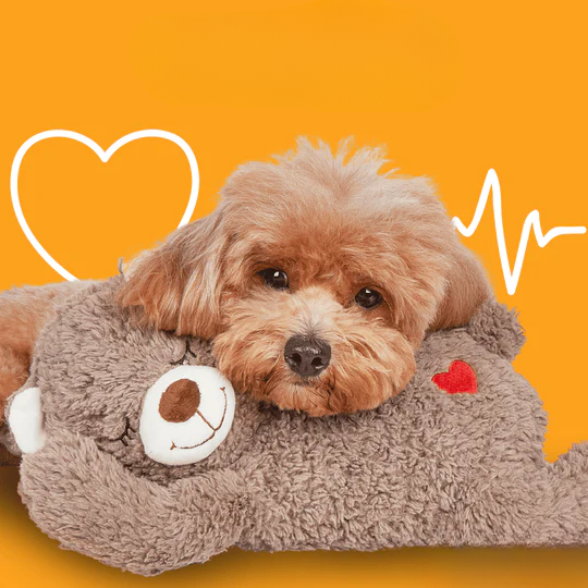 The Ultimate Comfort Cuddly Bear for Dogs
