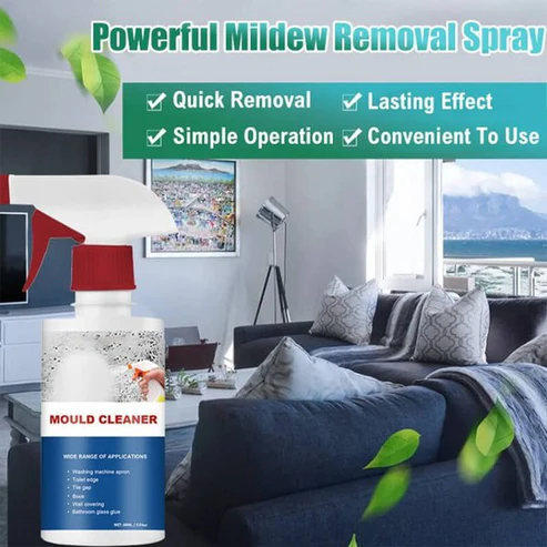 Foam Cleaner Against Mold
