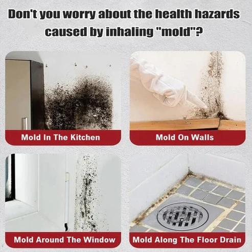 Foam Cleaner Against Mold