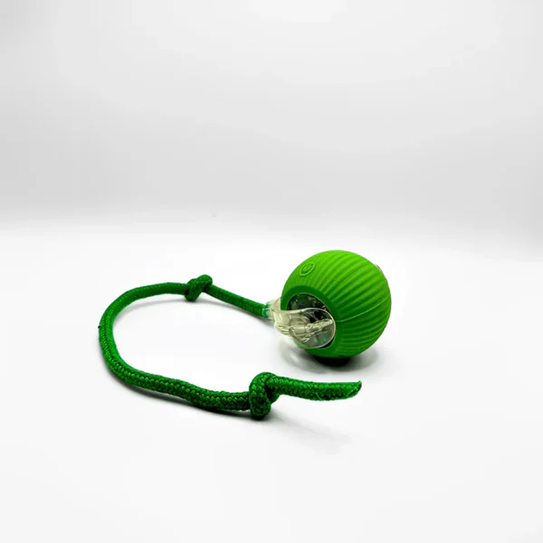 Smartball Interactive Cat Toy