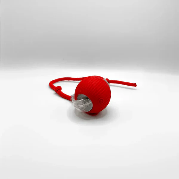 Smartball Interactive Cat Toy