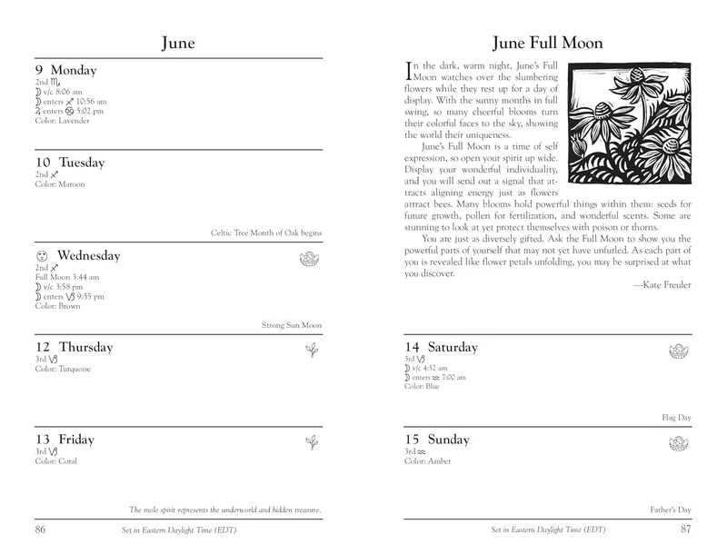 MAGICAL ALIGNMENT | Mystical Planner for Magical Living