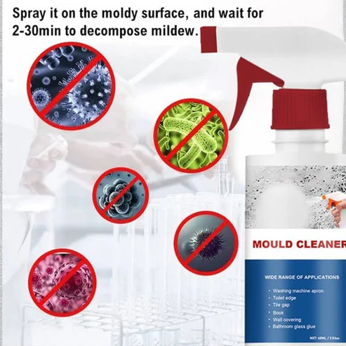 Foam Cleaner Against Mold