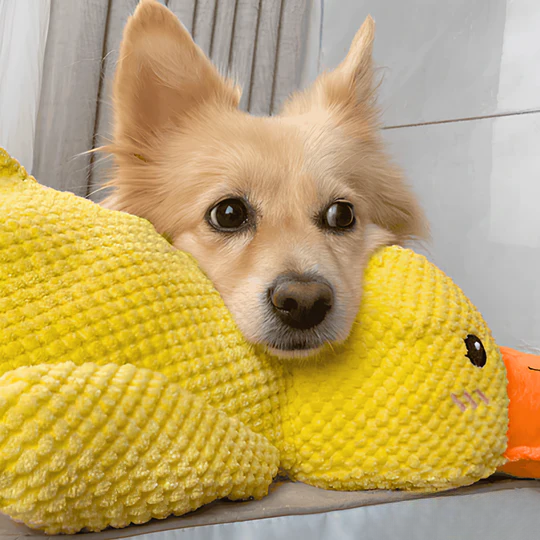 Anti-Stress Duck | Deep Relaxation For Your Dog