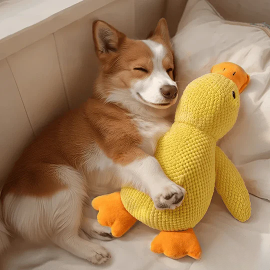 Anti-Stress Duck | Deep Relaxation For Your Dog