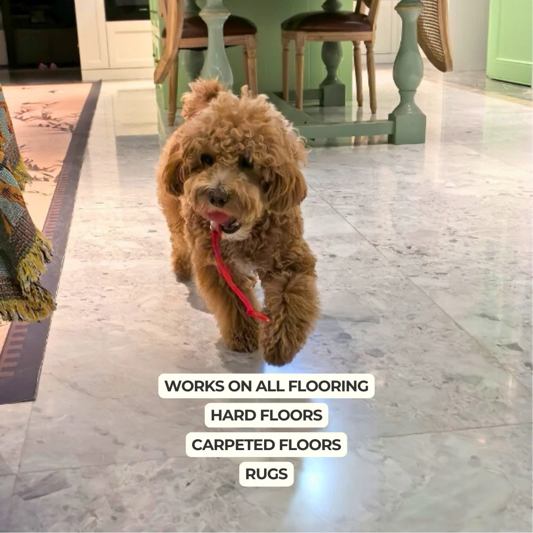 Automatic Dog Walker Toy