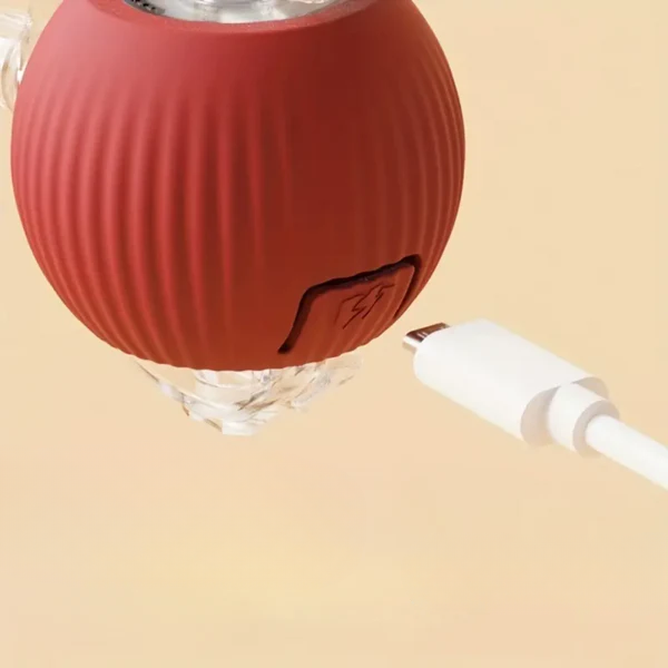 Smartball Interactive Cat Toy