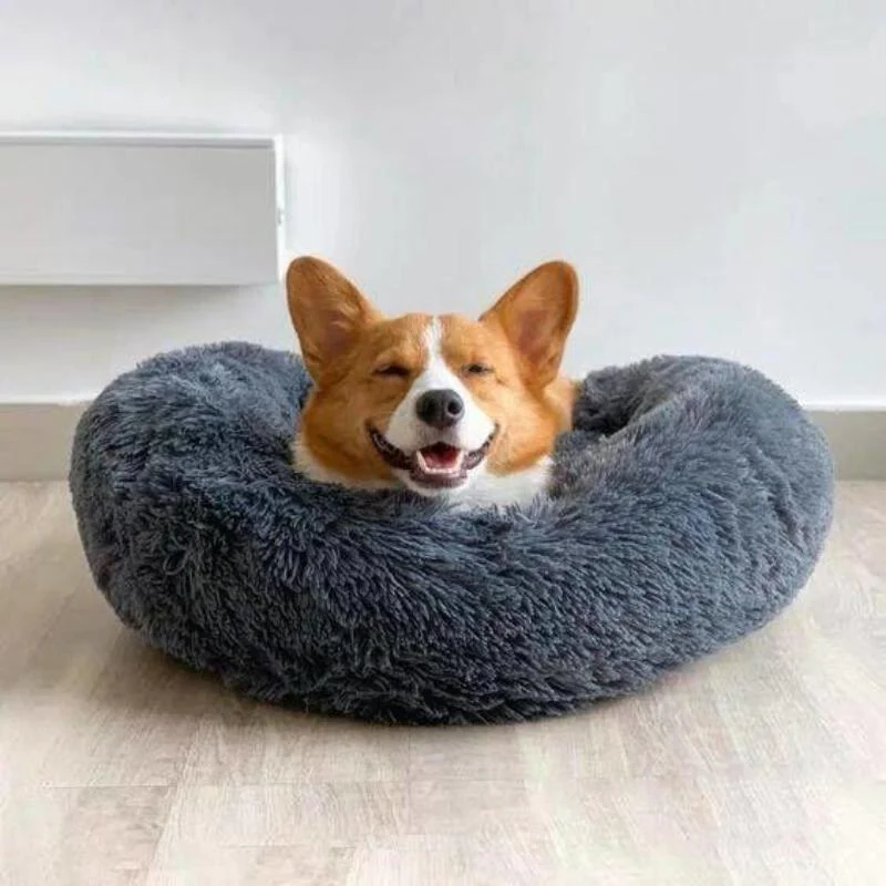 Premium Anti-Anxiety Pet Bed for Ultimate Comfort.