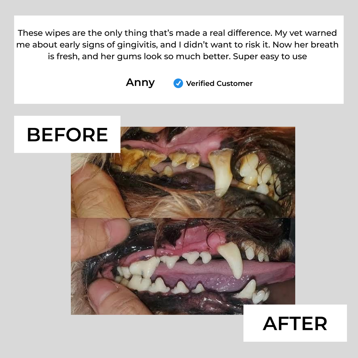 Natural Pet Dental Finger Wipes
