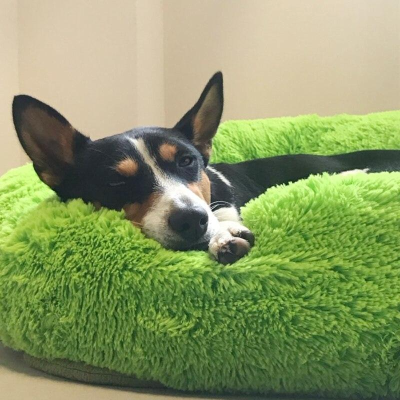 Premium Anti-Anxiety Pet Bed for Ultimate Comfort.