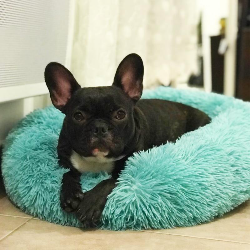 Premium Anti-Anxiety Pet Bed for Ultimate Comfort.