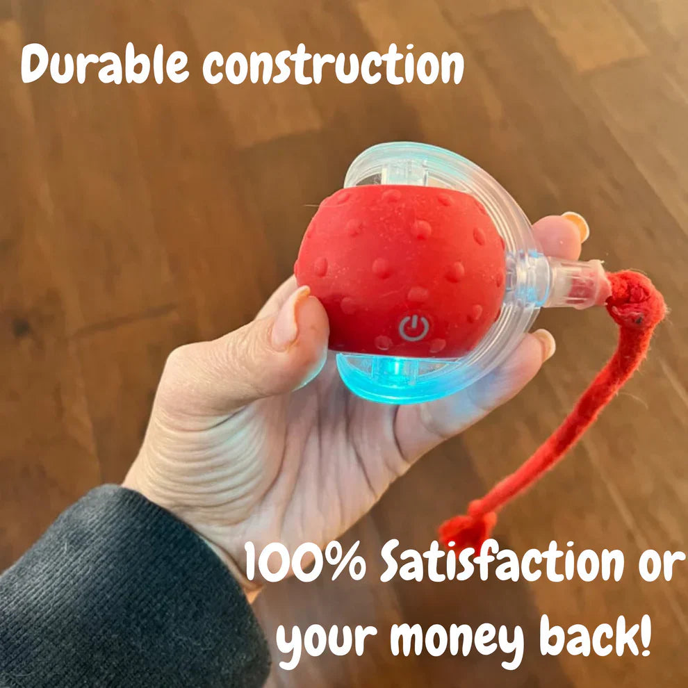 Automatic Dog Walker Toy