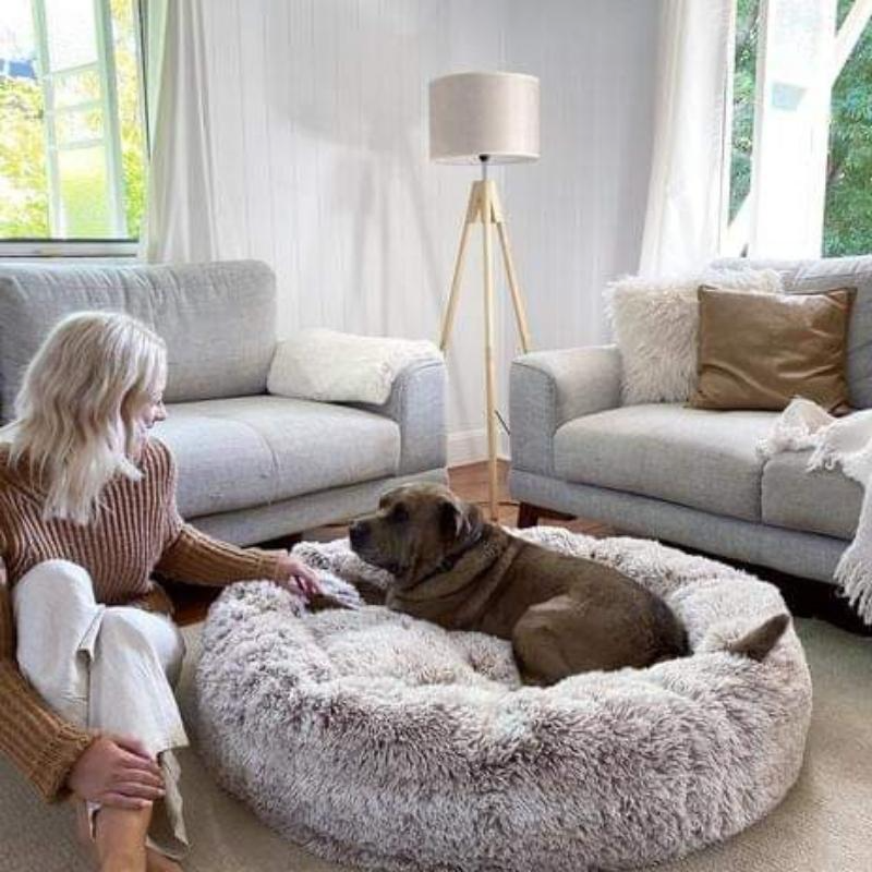 Premium Anti-Anxiety Pet Bed for Ultimate Comfort.