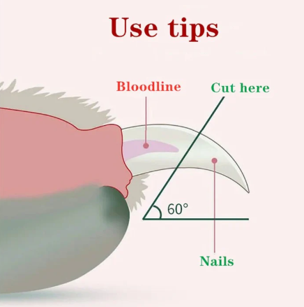 Precision Pet Nail Clipper With Light