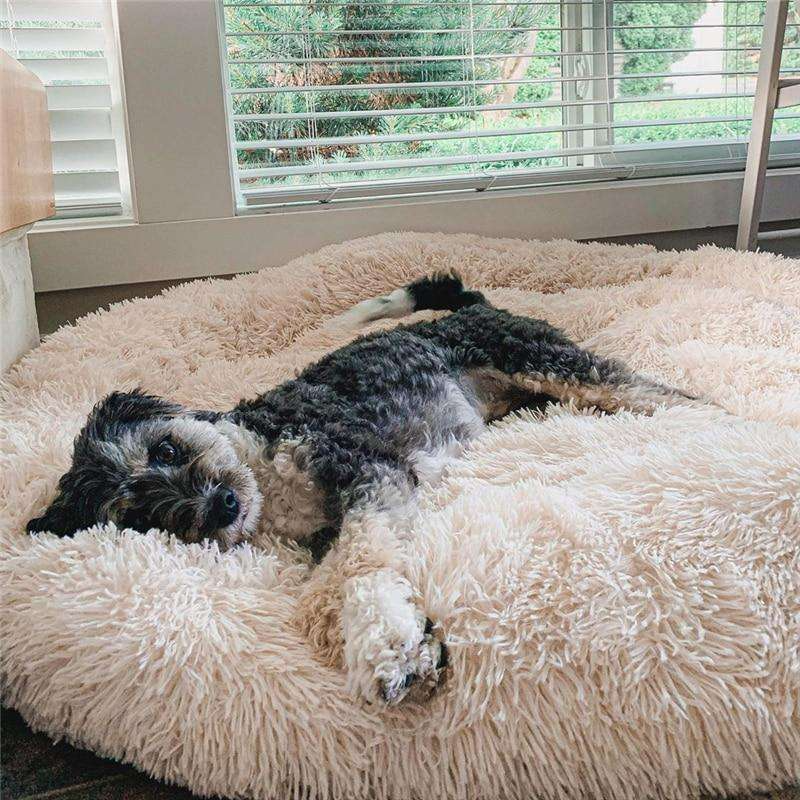 Premium Anti-Anxiety Pet Bed for Ultimate Comfort.