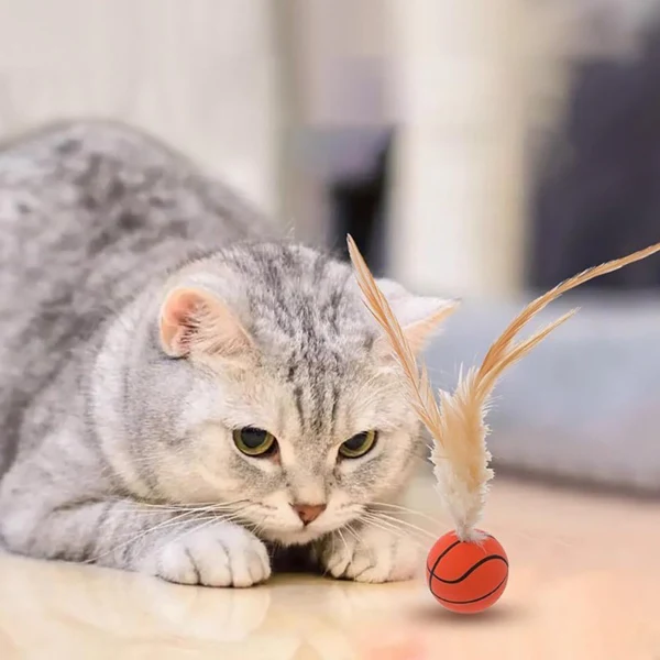 Interactive Feather Ball Toy Set for Cats