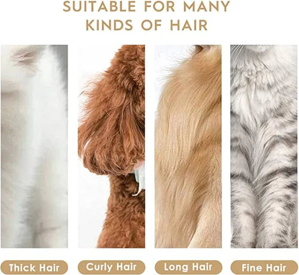 Rechargeable Low Noise Dog Hair Grooming Kit