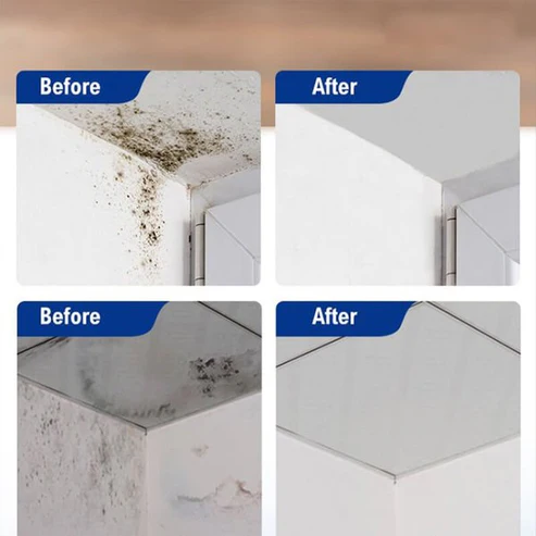 Foam Cleaner Against Mold