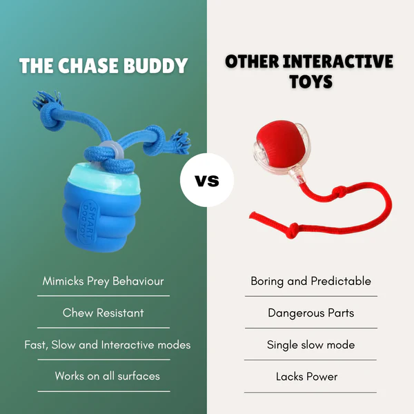 The Chase Buddy – Engaging, Smart Toy For Happy, Stimulated Dogs