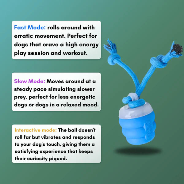 The Chase Buddy – Engaging, Smart Toy For Happy, Stimulated Dogs