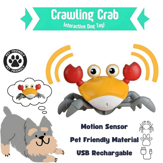 Exciting Interactive Toy For Pups