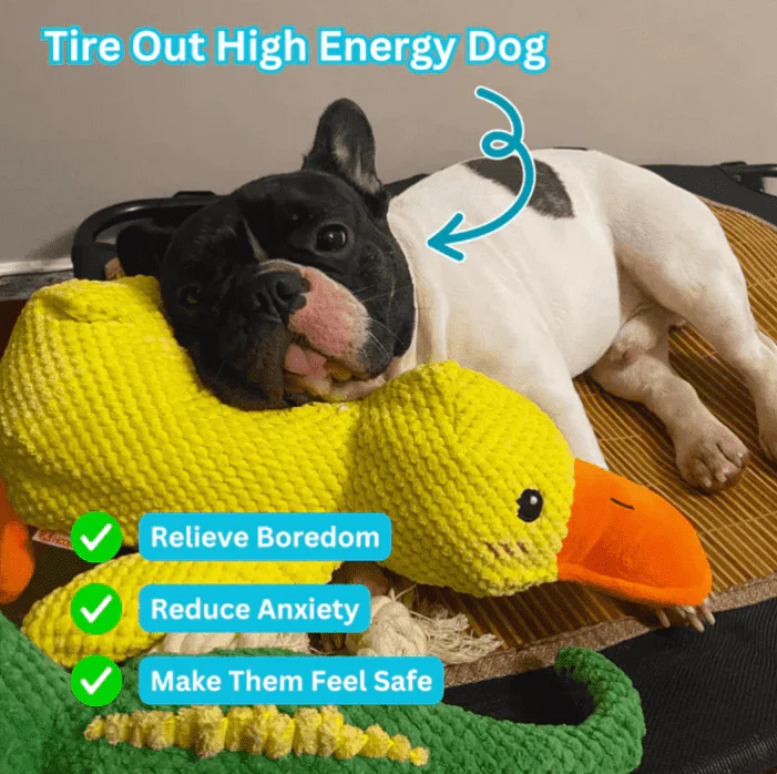 Soothing Plush Companion Duck Toy For Dogs