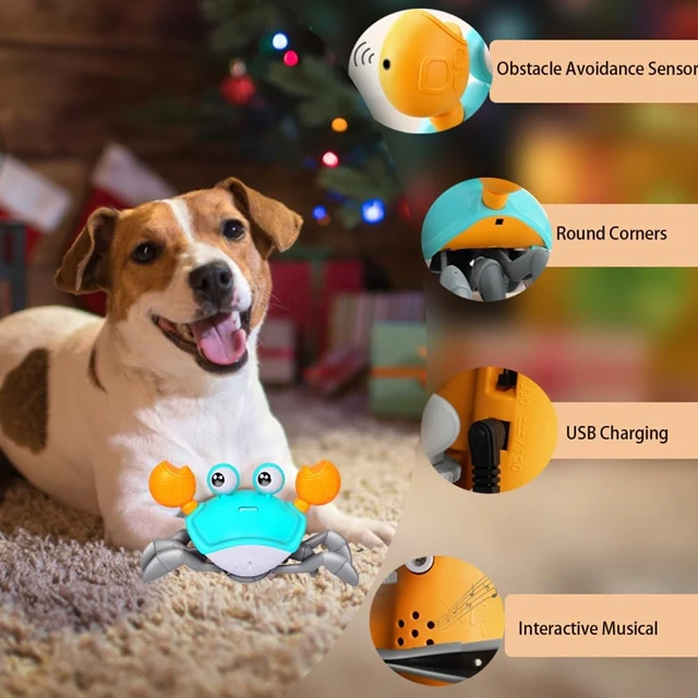 Exciting Interactive Toy For Pups