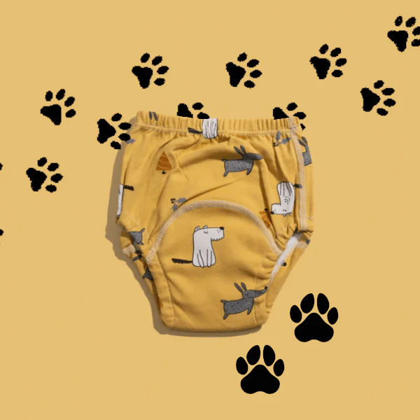 Reliable Leakproof Potty Training Underwear