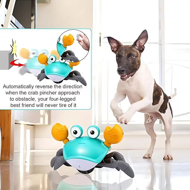 Exciting Interactive Toy For Pups