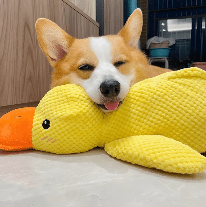 Soothing Plush Companion Duck Toy For Dogs