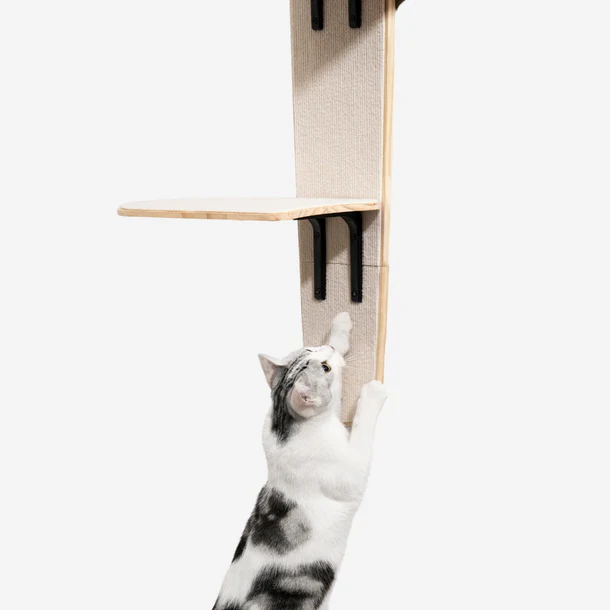 TallTrek Vertical Door-Mounted Cat Tree | Space-Saving Multi-Level Climber