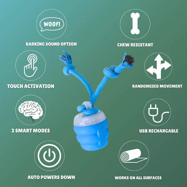 The Chase Buddy – Engaging, Smart Toy For Happy, Stimulated Dogs