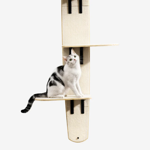 TallTrek Vertical Door-Mounted Cat Tree | Space-Saving Multi-Level Climber
