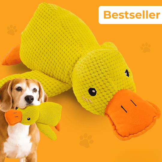 Anti-Stress Duck | Deep Relaxation For Your Dog