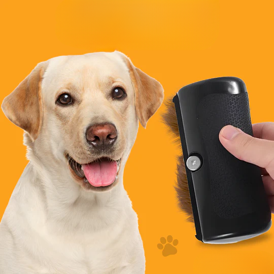 Fellwunder Brush | The Bestseller