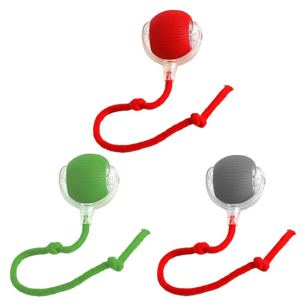 Smartball Interactive Cat Toy