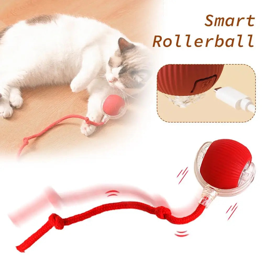Smartball Interactive Cat Toy