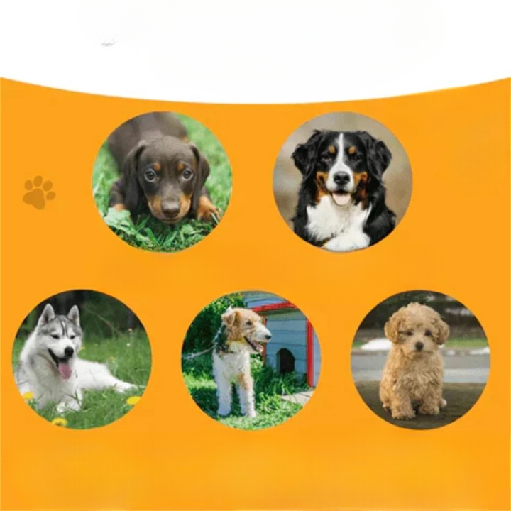 Fellwunder Brush | The Bestseller