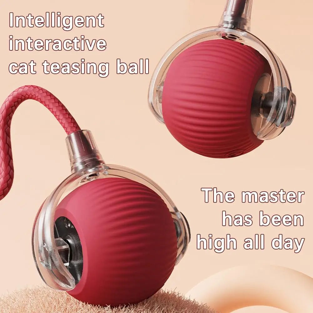 Smartball Interactive Cat Toy