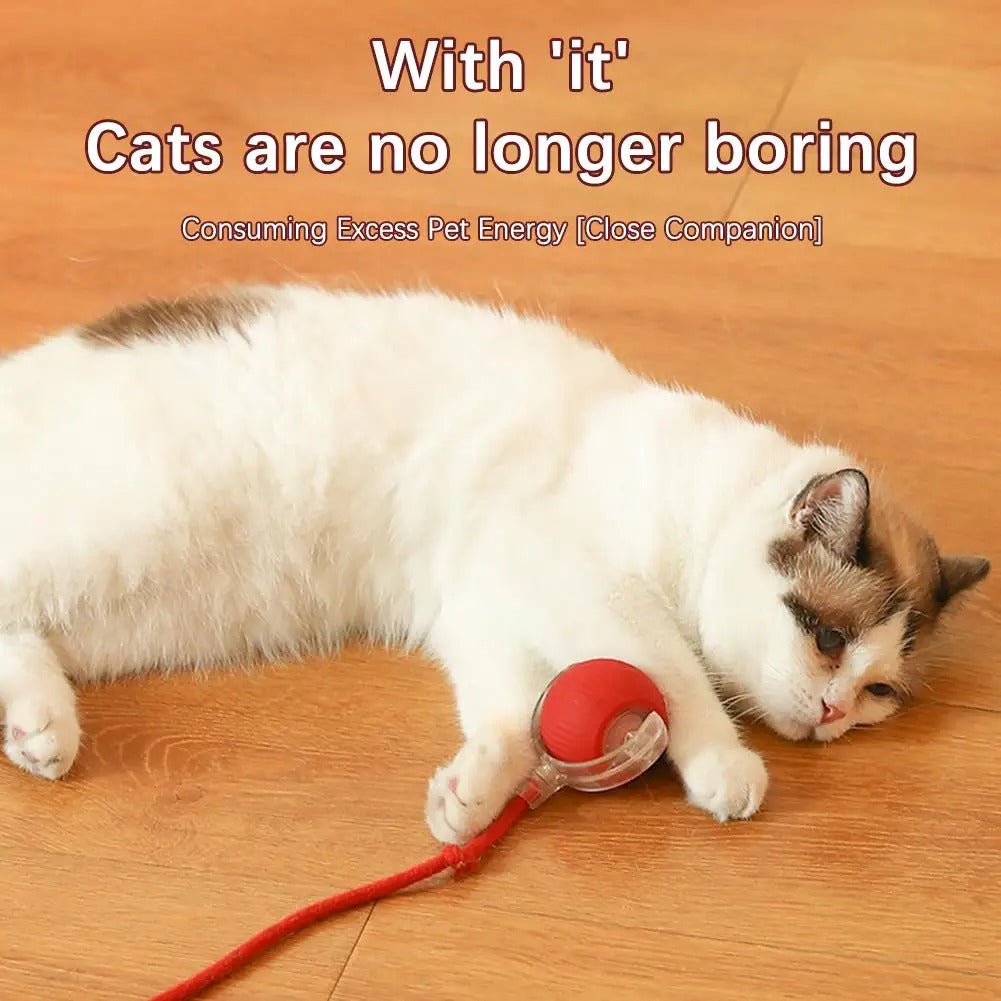 Smartball Interactive Cat Toy