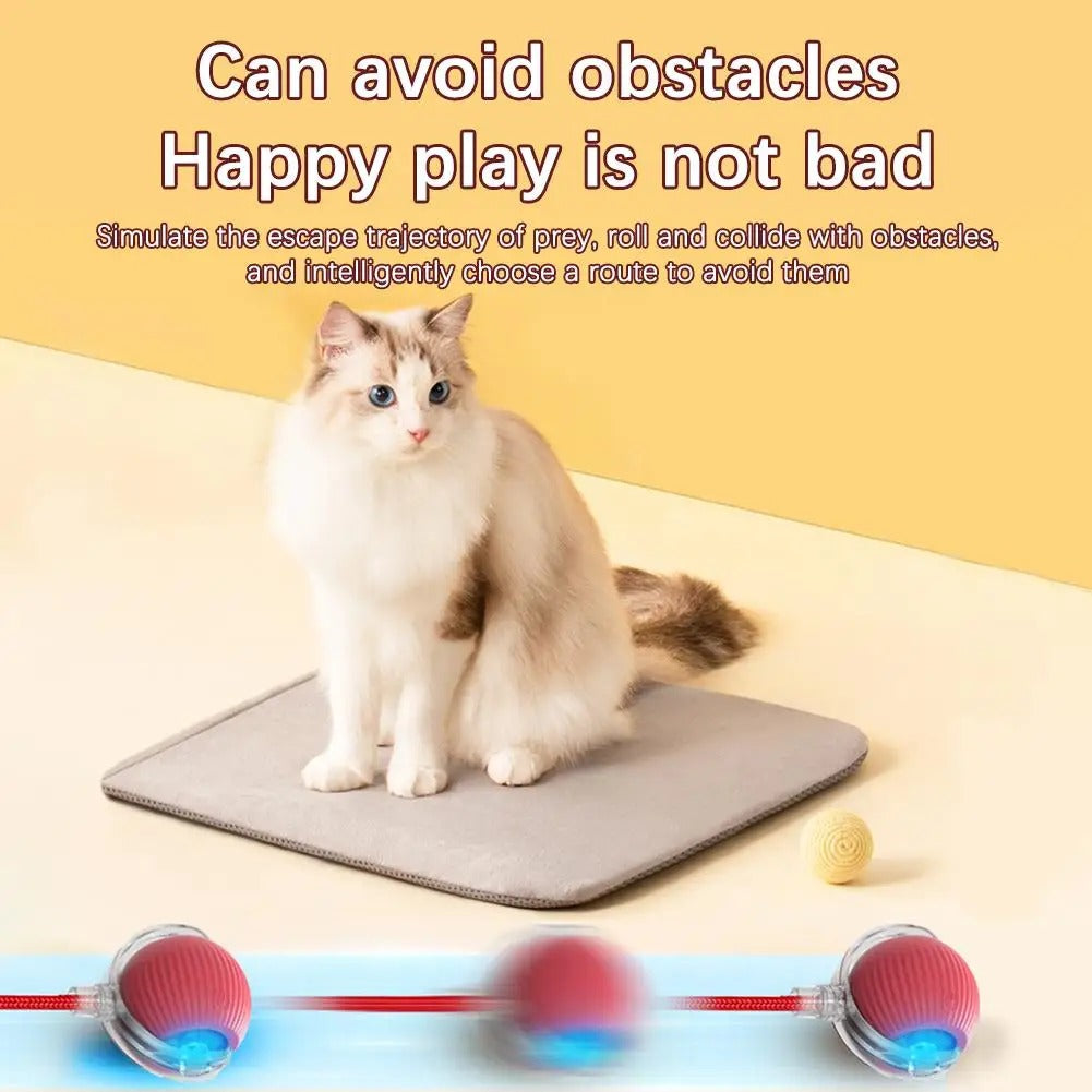 Smartball Interactive Cat Toy