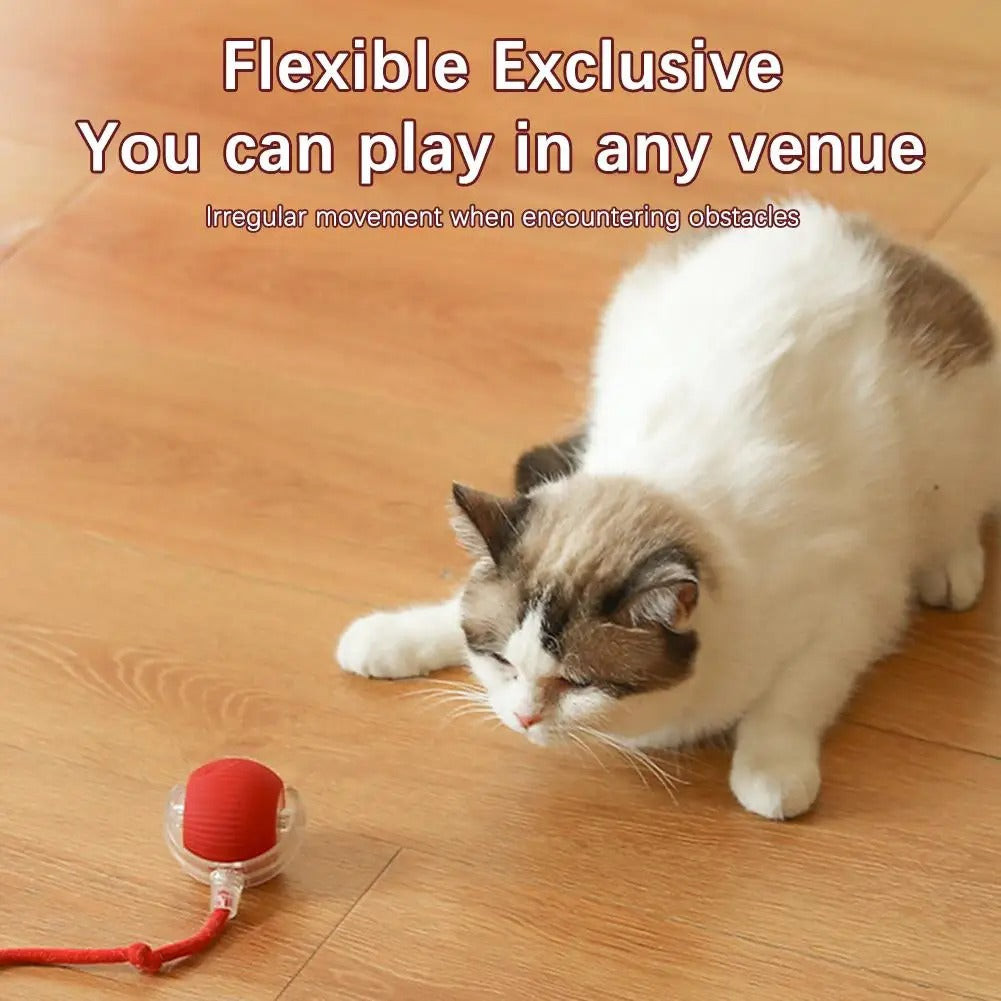 Smartball Interactive Cat Toy