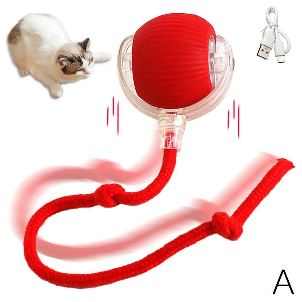 Smartball Interactive Cat Toy