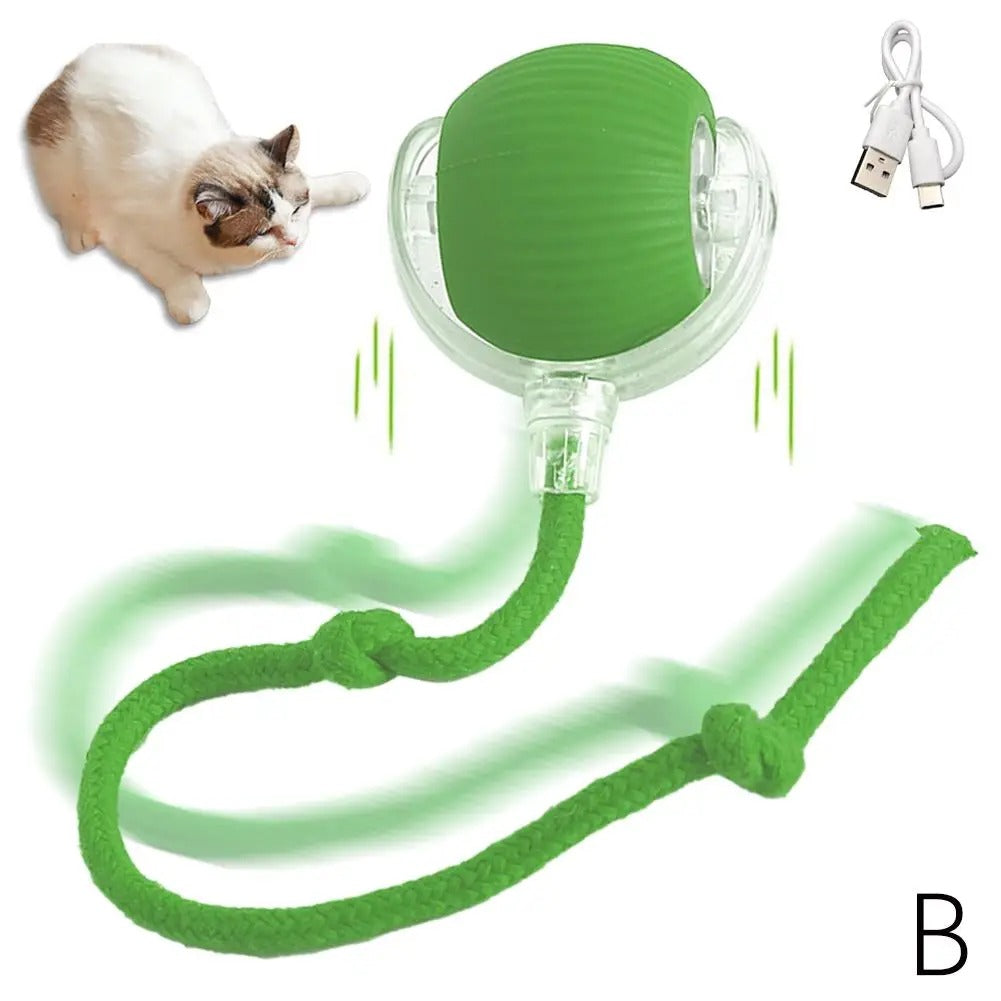 Smartball Interactive Cat Toy