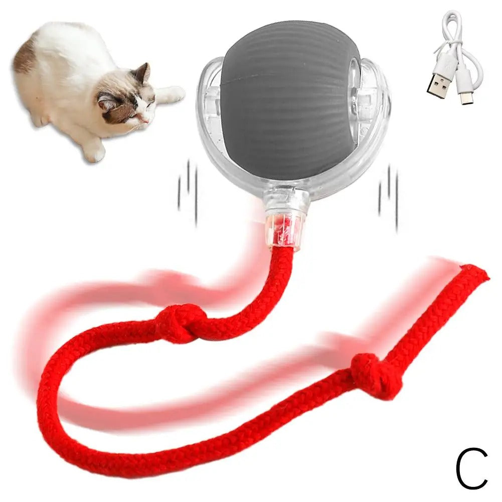 Smartball Interactive Cat Toy