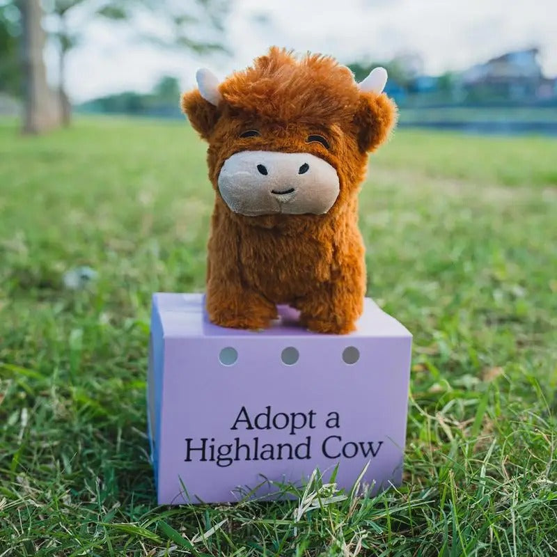 Fluffy Highland Cow Plush Toy - Adopt Highland Cow